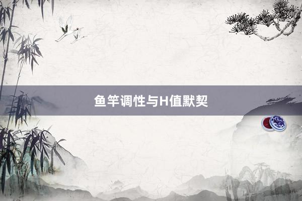 鱼竿调性与H值默契